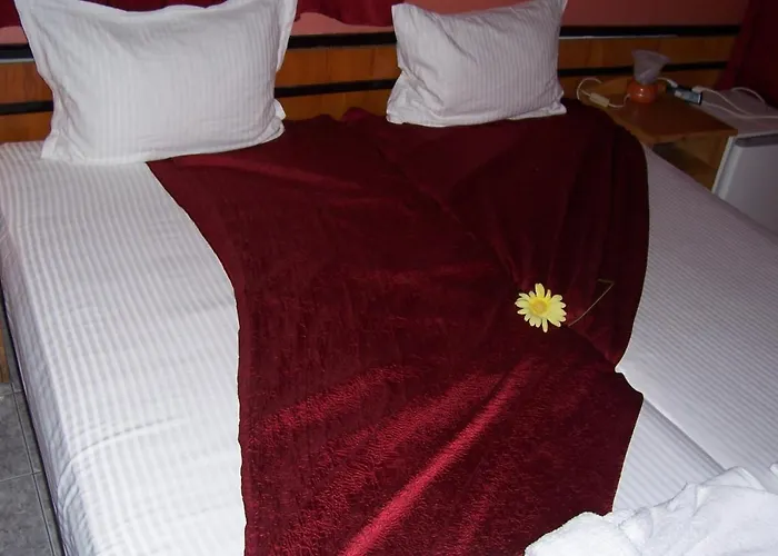 Casa de hóspedes Nelly Ravda